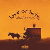 Love or Hate