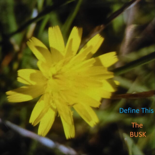 The Busk