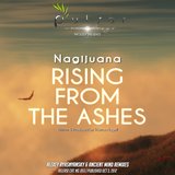 Rising From The Ashes