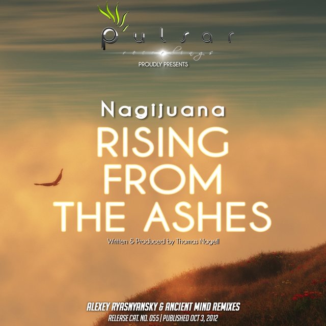 Rising From The Ashes