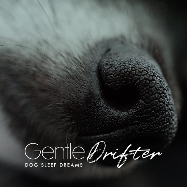 Gentle Drifter