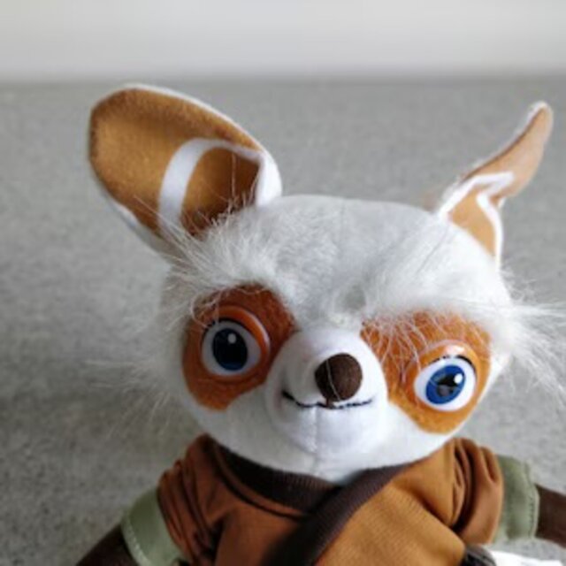Meister Shifu