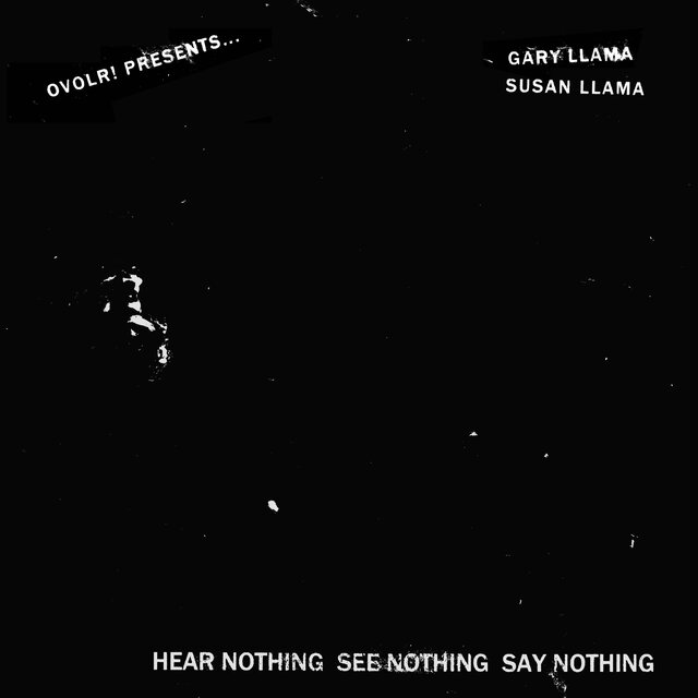 Hear Nothing, See Nothing, Say Nothing (Cover)