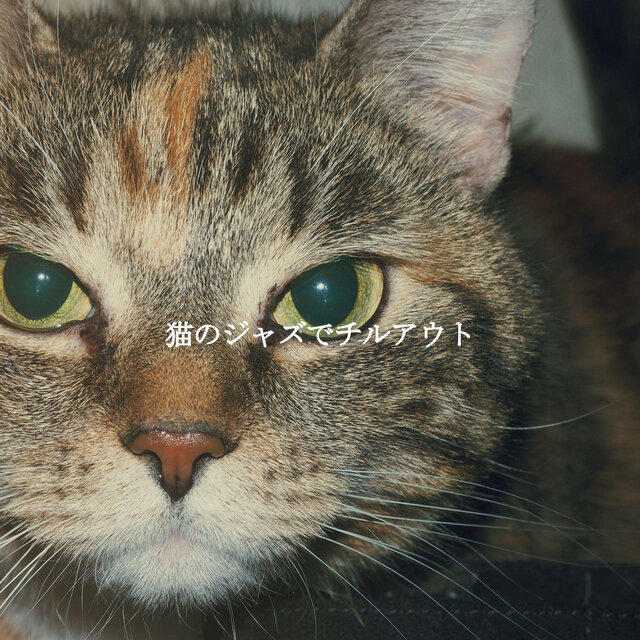 猫のジャズでチルアウト