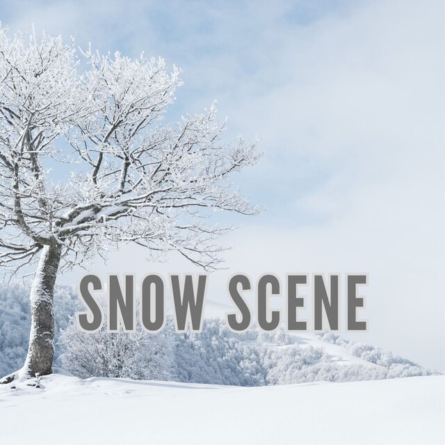 Snow scene