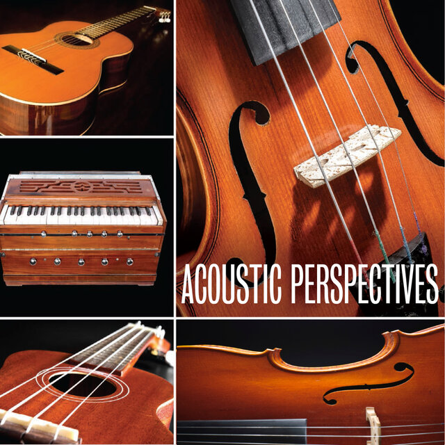 Acoustic Perspectives