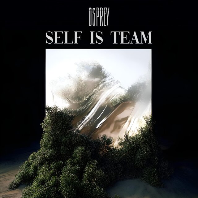 Self Is Team