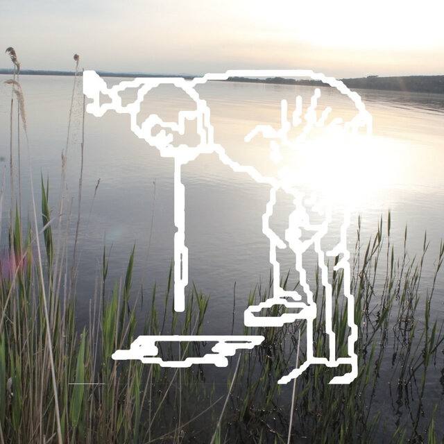 vomitare