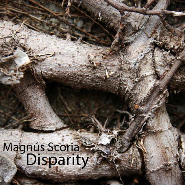 Disparity