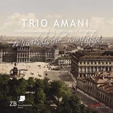 Sonata for 2 Violins in C Major, Op. 56: IV. Allegro con brio