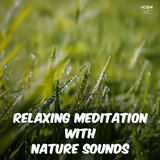 Relaxing Meditation with Nature Sounds