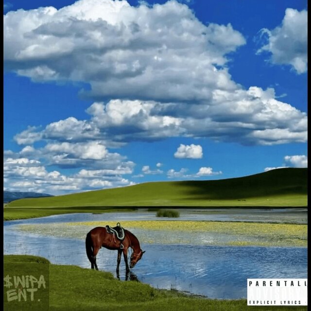 HORSES DONT STOP