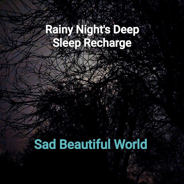 Rainy Night's Deep Sleep Recharge