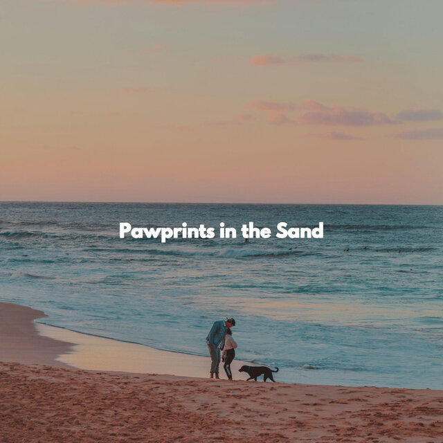Pawprints in the Sand