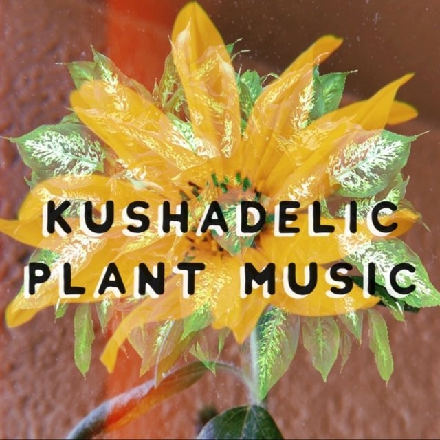 Plant Music