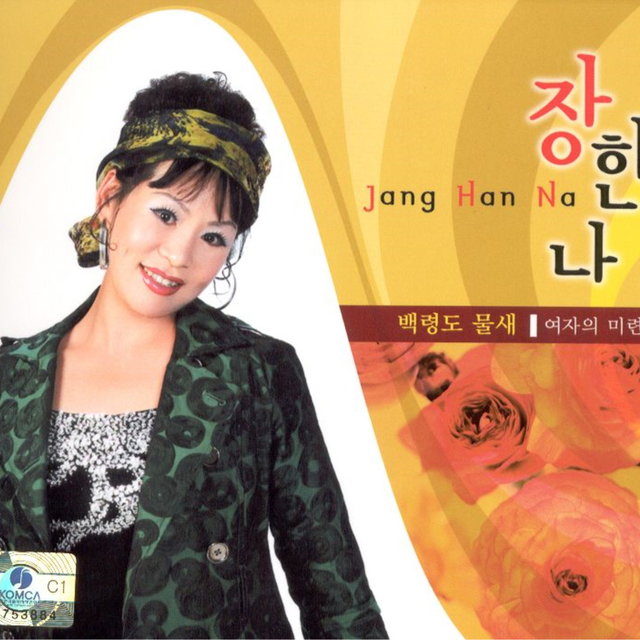 백령도 물새/여자의 미련 백령도 물새/여자의 미련