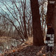 Cover art for album This Is The Halfway Point by Ric Chavez