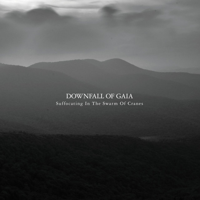 Cover art for album Suffocating in the Swarm of Cranes by Downfall Of Gaia