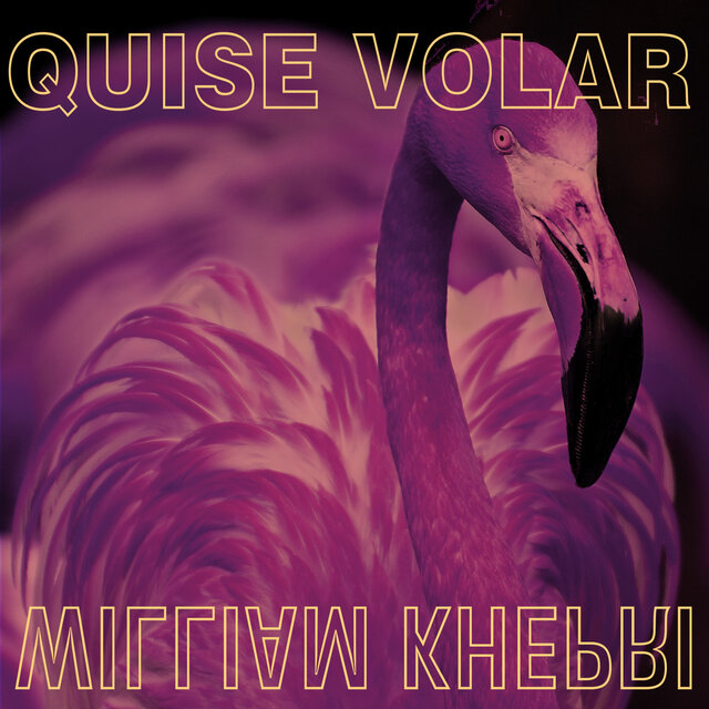Quise Volar