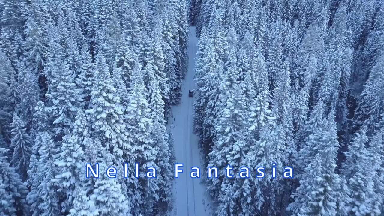 Nella Fantasia instrumental 