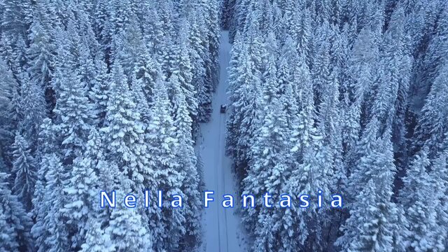 Nella Fantasia instrumental 