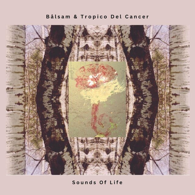 Sounds Of Life