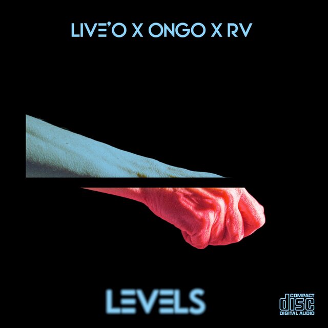 Levels (feat. RV & ONGO)