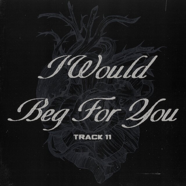 i would beg for you