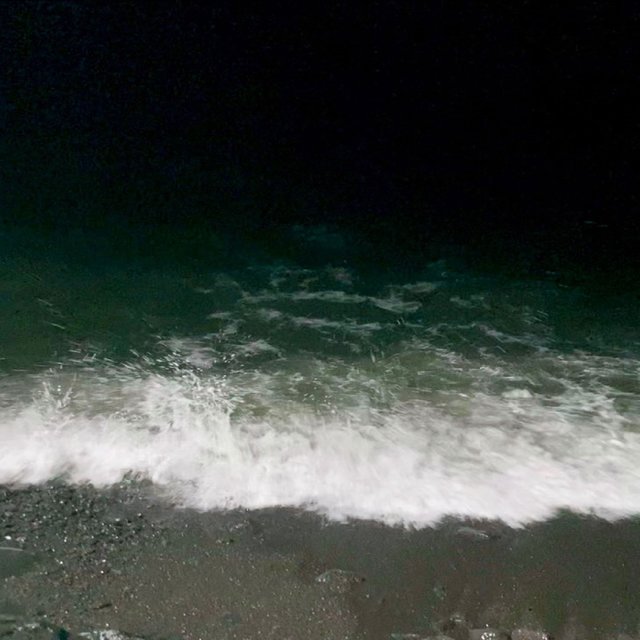 MY OCEAN