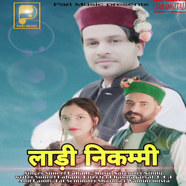 Laadi Nikammi