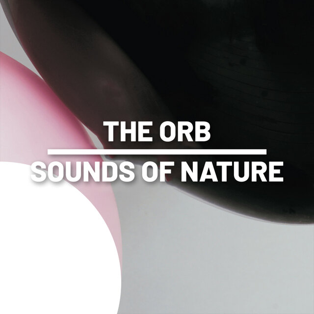 The Orb