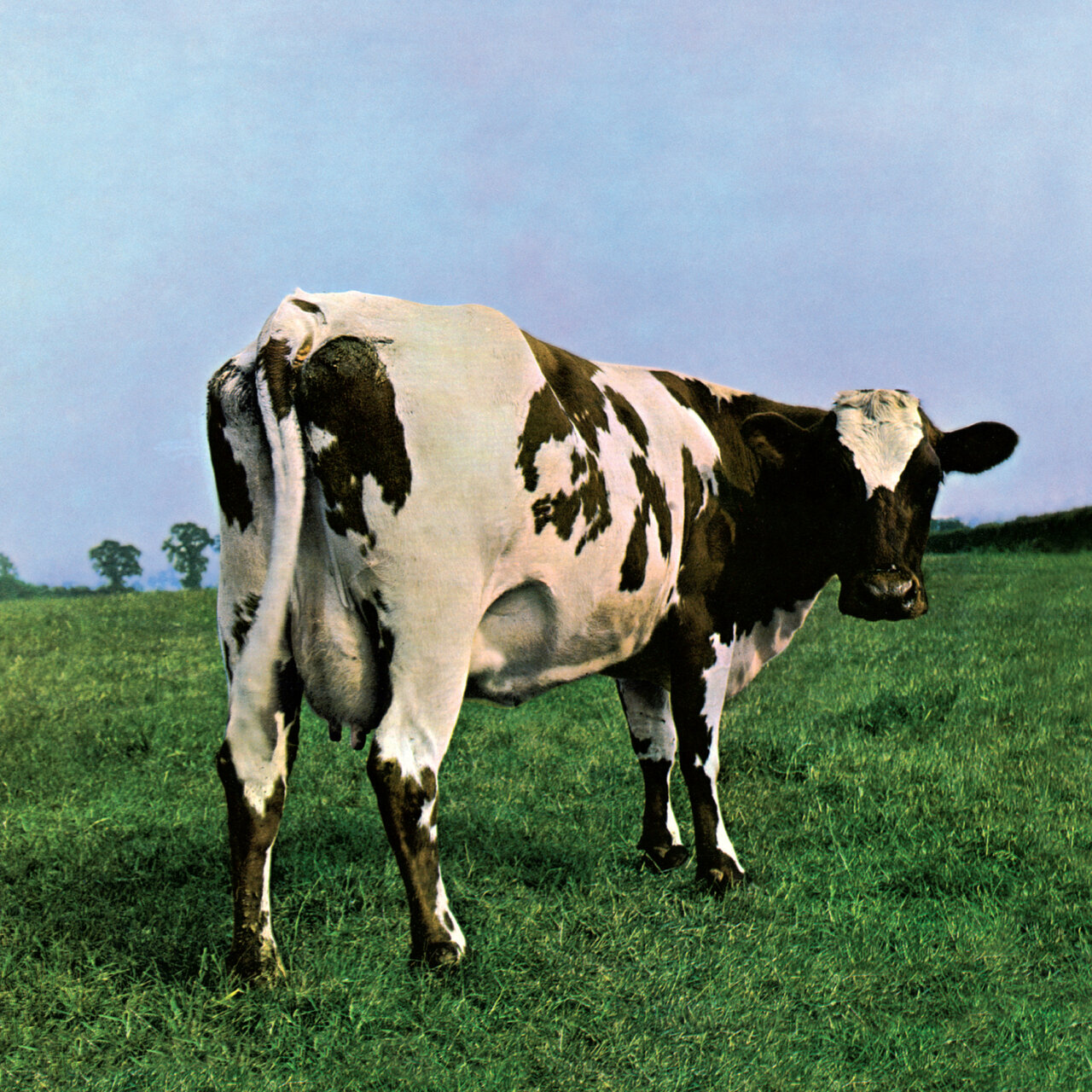 Atom Heart Mother / Pink Floyd - TIDAL