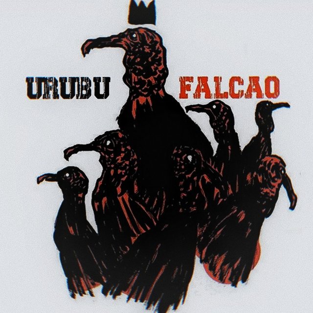 Urubu Falcão