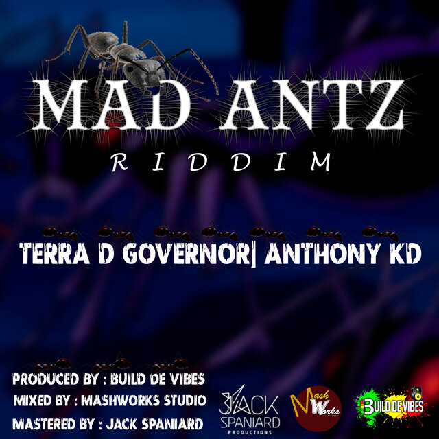 Mad Antz Riddim