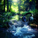 Flowing Echoes Binaural