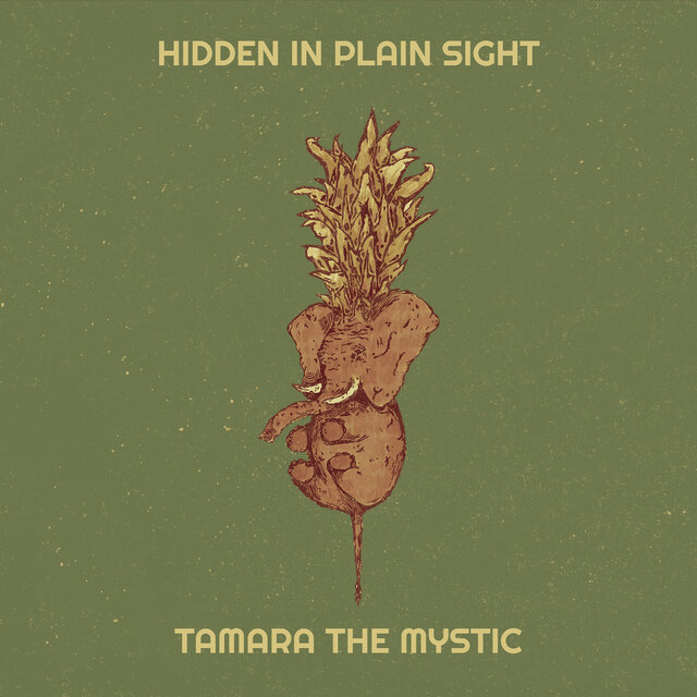 Hidden in Plain Sight