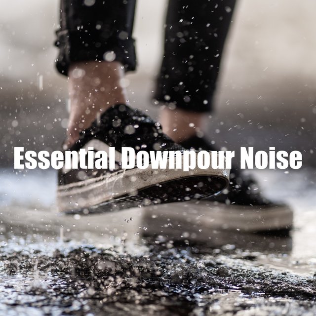 Essential Downpour Noise