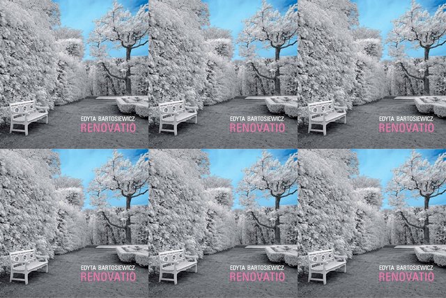 Cover art for album Renovation -Edyta Bartosiewicz by User