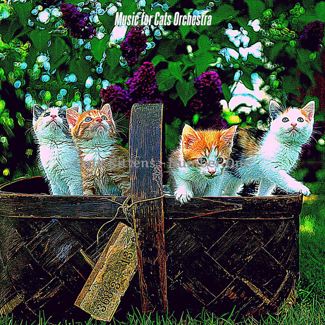 Cute Kittens - Number One