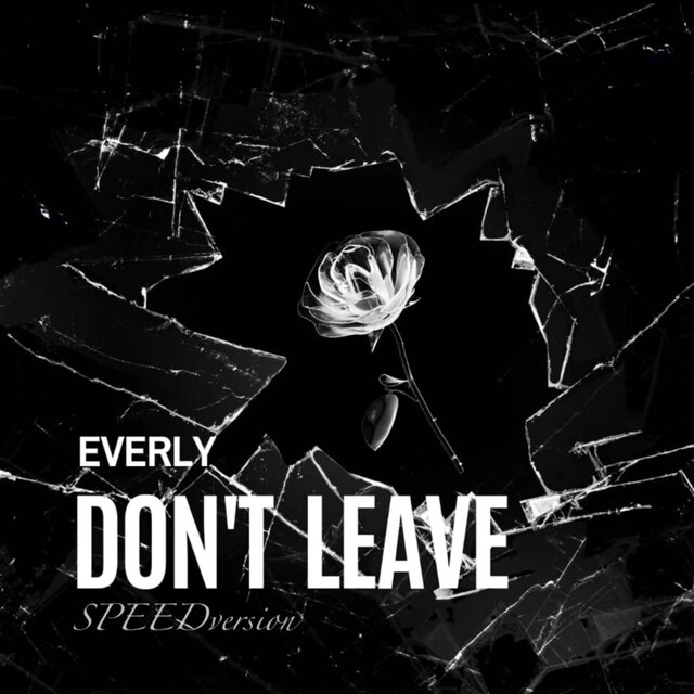 DON’T LEAVE (Speed Version)