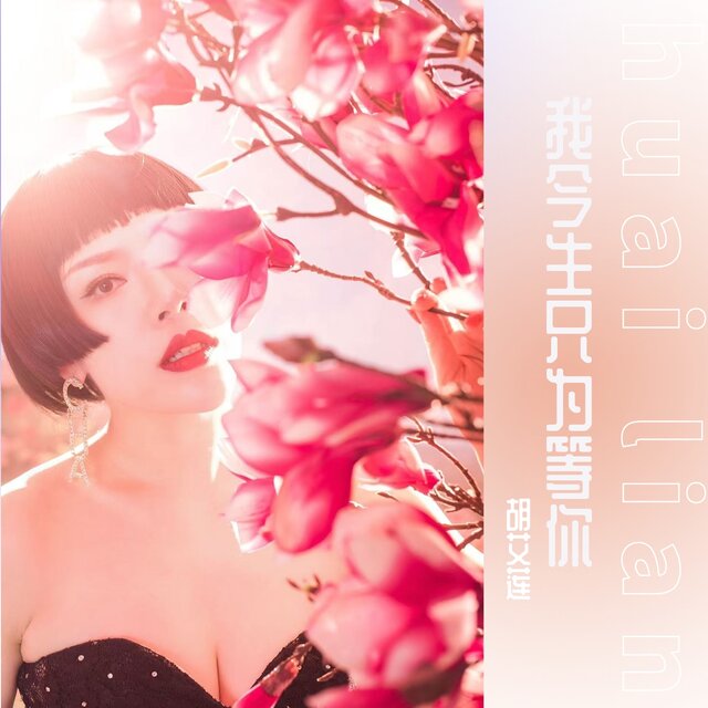 我今生只为等你