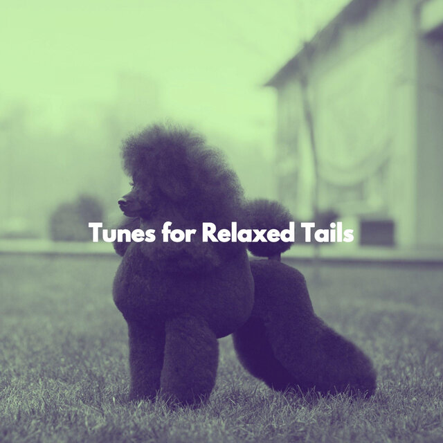 Tunes for Relaxed Tails