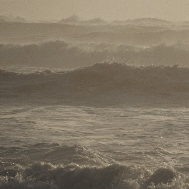 monochrome