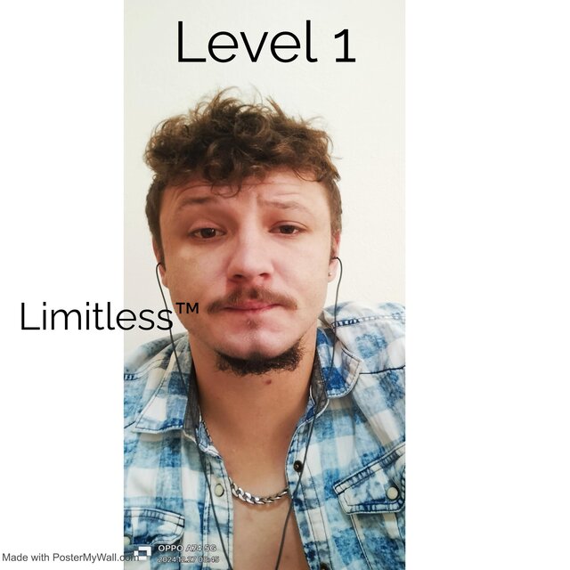 Level 1