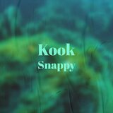 Kinescope