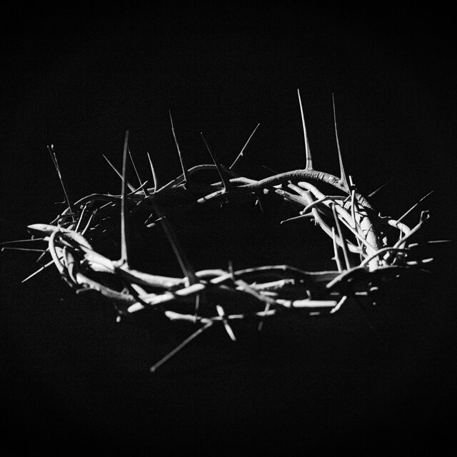 The Lamb