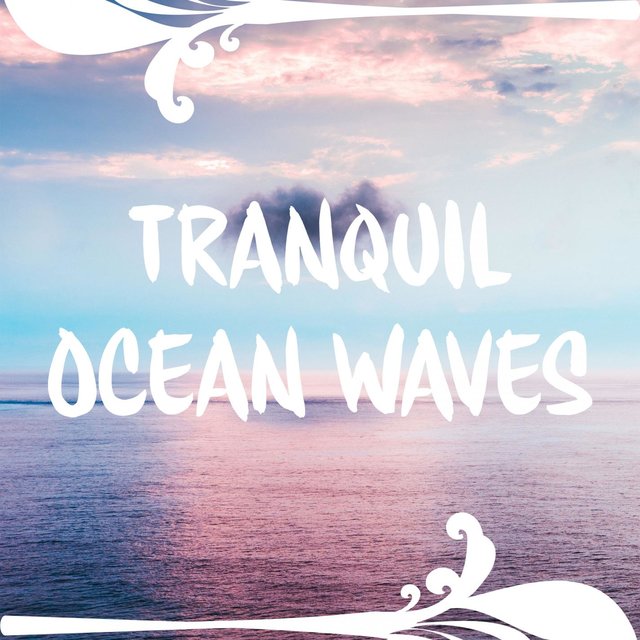 Tranquil Ocean Waves