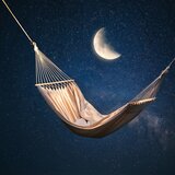 Nighttime's Lull