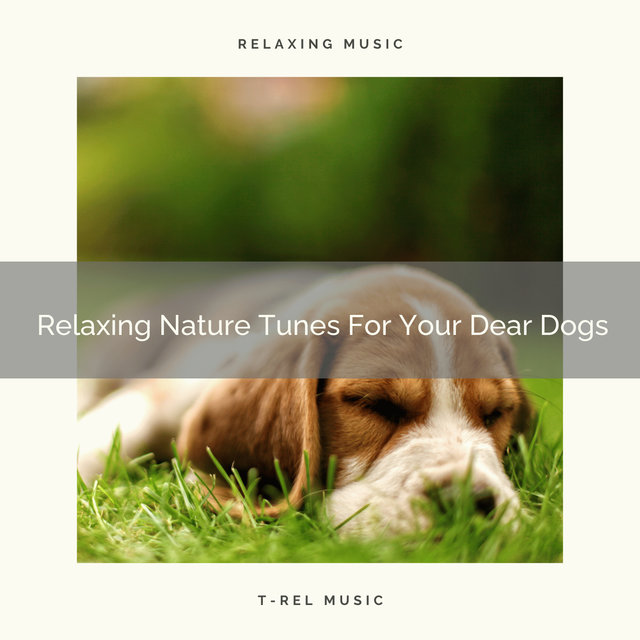 Relaxing Nature Tunes For Your Dear Dogs