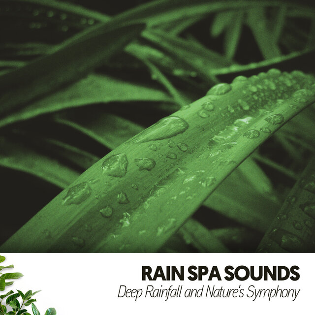 Rain Spa Sounds: Deep Rainfall and Nature's Symphony
